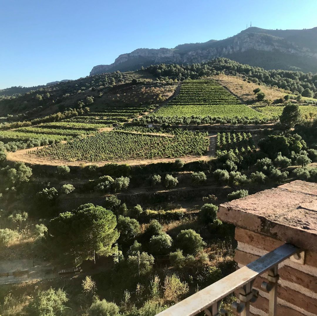 doqpriorat's tweet photo. Ven, acércate a la #DOCaPriorat este fin de semana y disfruta de la experiencia única que te ofrecen las diferentes visitas enoturísticas de nuestras bodegas.

📸 alexis.granero

#Priorat #DOQPriorat #winelover #winemaker https://t.co/QhJBase8X0