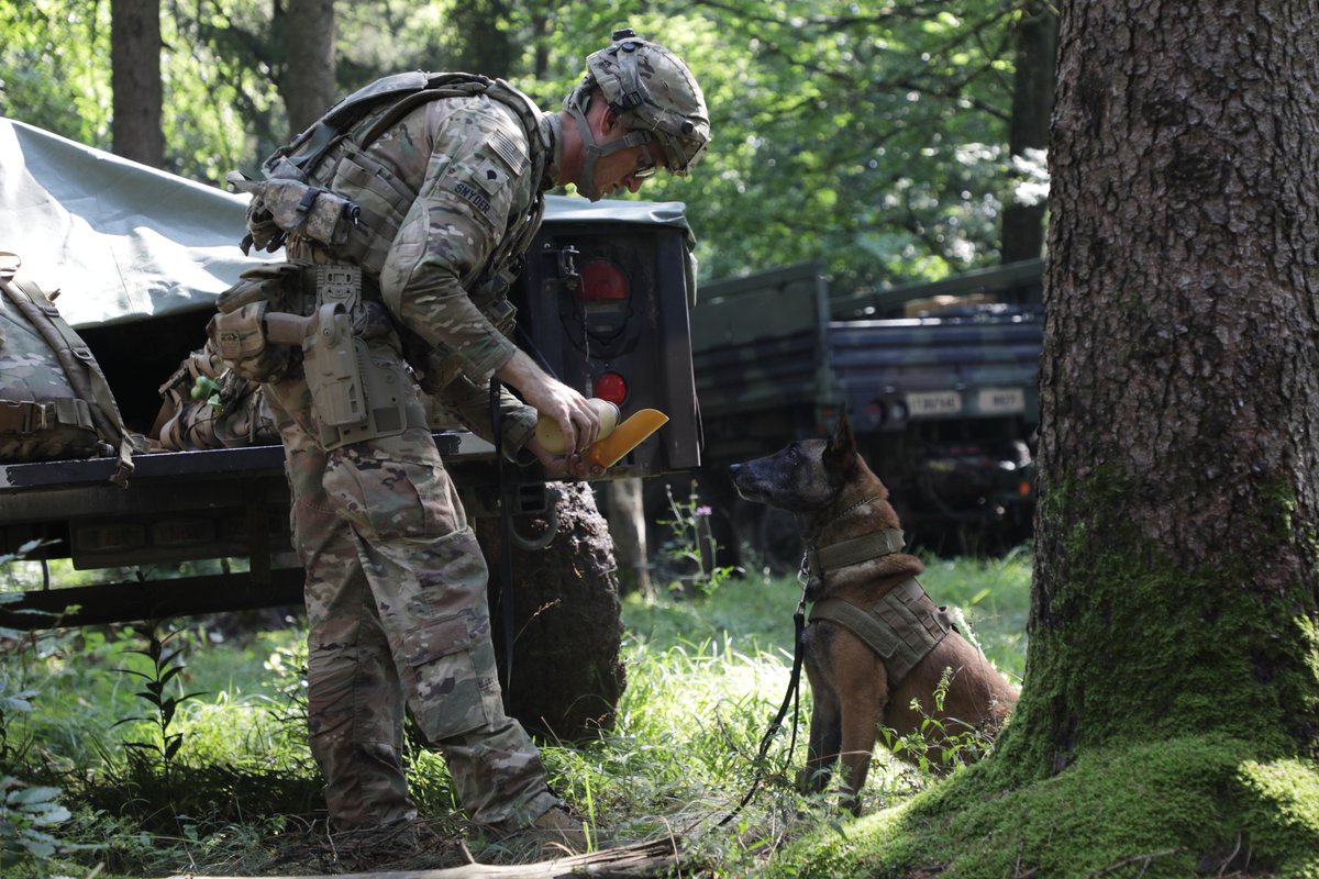 Stay hydrated, it's hot out in the box! A U.S. Army Soldier assigned to 173rd Airborne Brigade Combat Team makes sure his #MilitaryWorkingDog is hydrated during #SaberJunction 20.