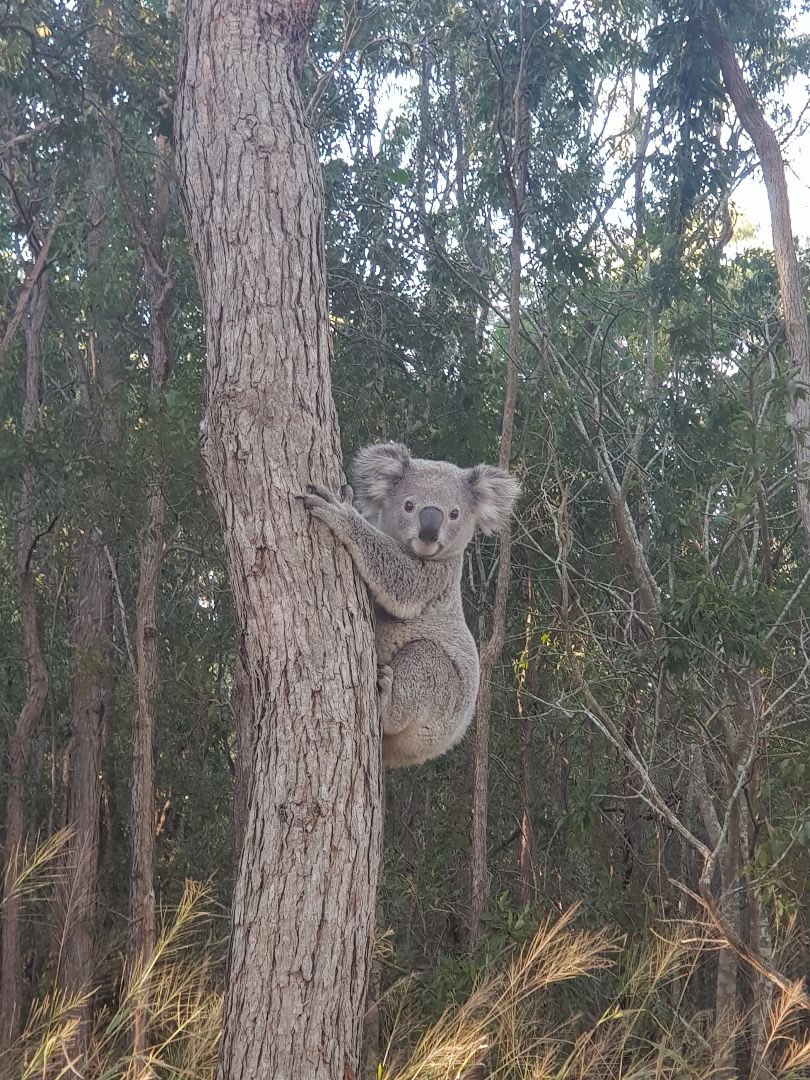 Steve Griffiths tweet media