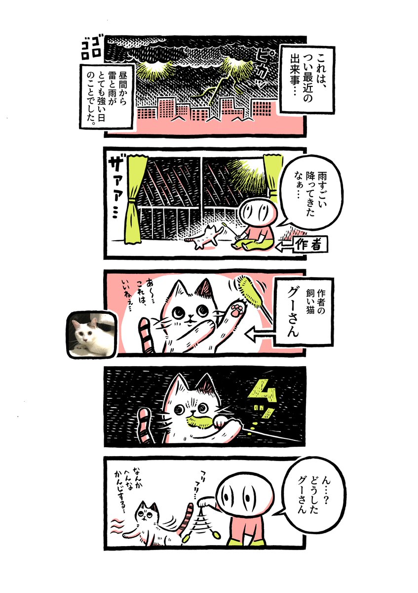 漫画家のカメントツ先生の家に老猫さんが迷い込む 飼い主さんが見つかる 猫さんを引き取ったカメントツ先生 元飼い主さんの庭掃除をする Togetter 漫画家のカメントツ先生の家に老猫さんが迷い込む 飼い主さんが見つかる 猫さんを引き取ったカメントツ先生 元飼い主さんの庭掃除をする Togetter
