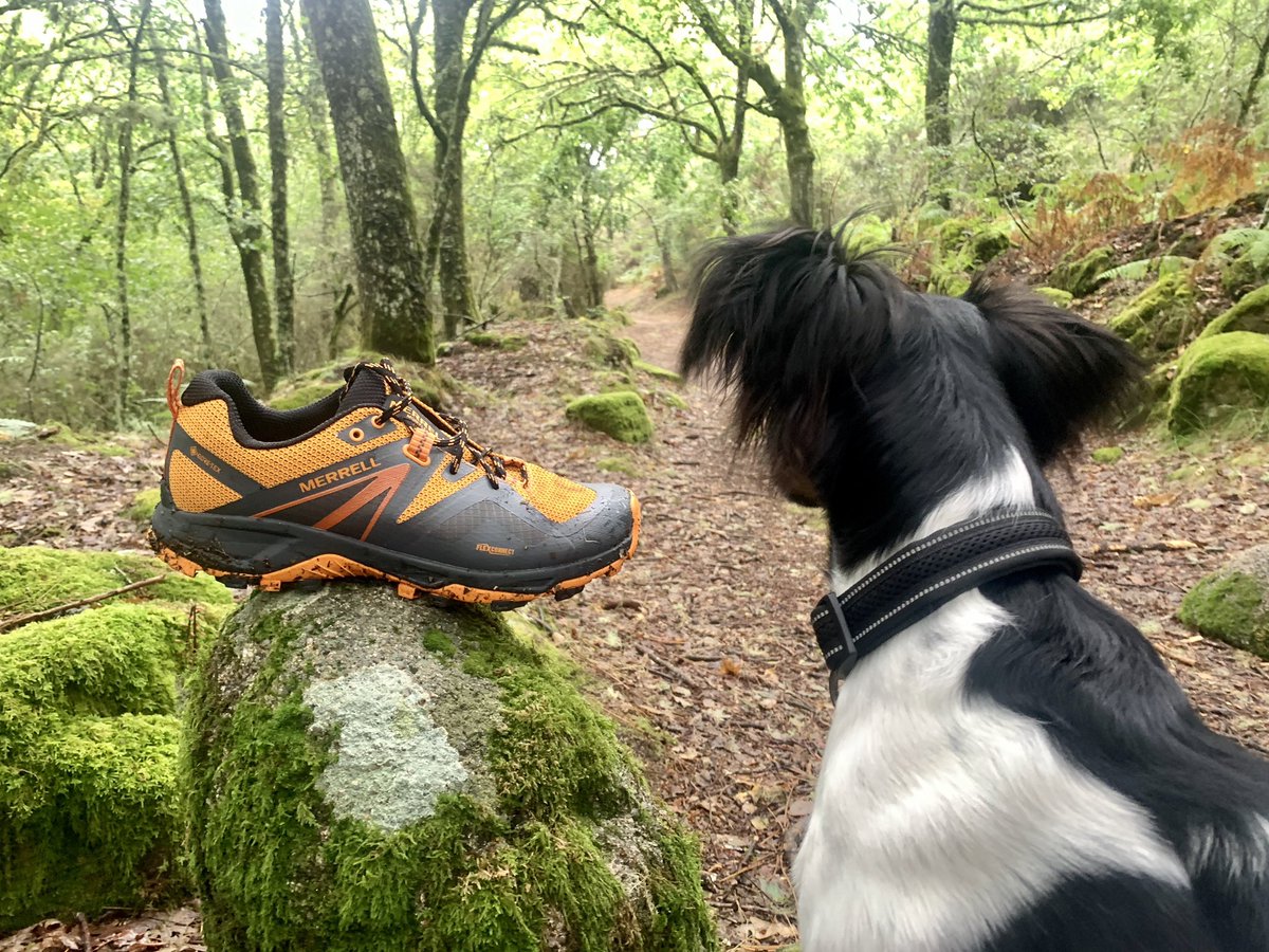 ErnestCN_Trail's tweet photo. Por fin en tierras gallegas en una escapada relámpago.

Tocaba estrenar las Merrel MQM flex 2 gore-tex como #patroncarrerasdemontana y disfrutar del monte, en nada primeras impresiones.

https://t.co/YYL9sFIZCM https://t.co/5nal0KzBcZ