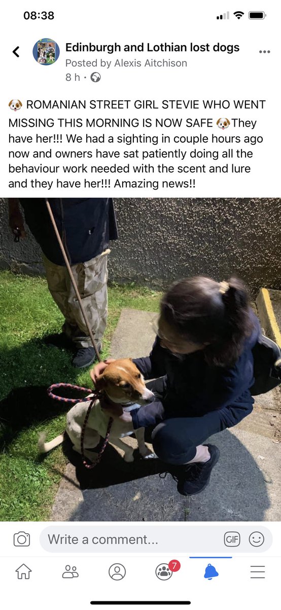 EdinLostDogs's tweet photo. REUNITED 🙂 #lost #dog Romanain street dog from yesterday was reunited last night! https://t.co/F3GjG1gMDy