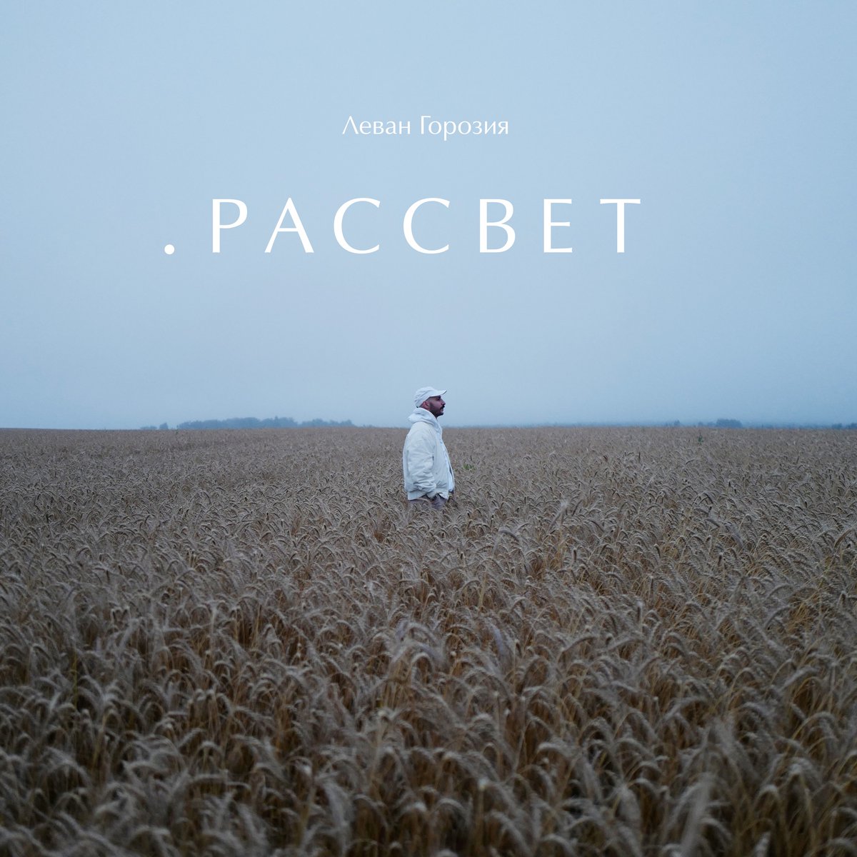 Леван Горозия tweet media