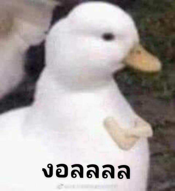 Chalnw_BLHS's tweet photo. ให้มาเห็นเอง https://t.co/mEHucbqx4V