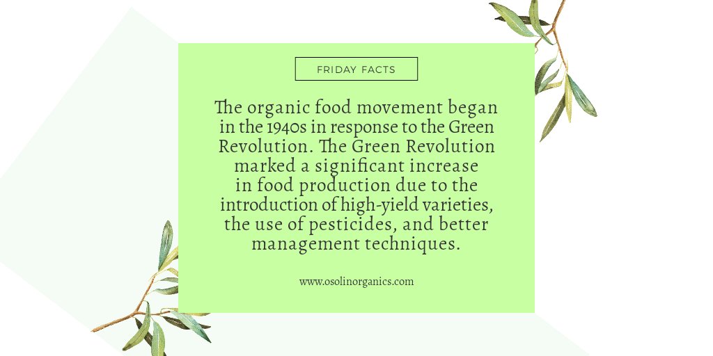 OsolinOrganics's tweet photo. Facts Fridayyy!

#facts
#friday #fridayvibes #fridaymood #fridaynight #fridaymotivation #fridayfeeling #facts💯 #facts‼️ #factsoflife #factsonfacts https://t.co/xwe7zRioDd https://t.co/GEbPVsyVCR