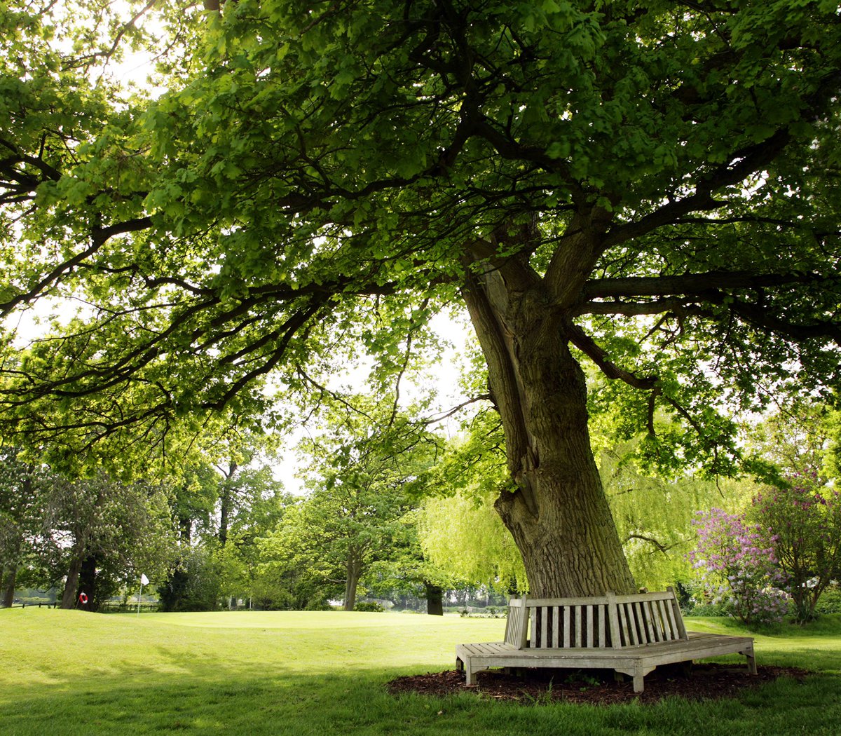 Reopening on Monday 24th <a href="/andy4wm/">Andy Street</a> so it would be good to see you for a #welcomeback coffee ? Hope you can make it ? 30 years in Business &amp; starting again from £Zero is quite a challenge ?!