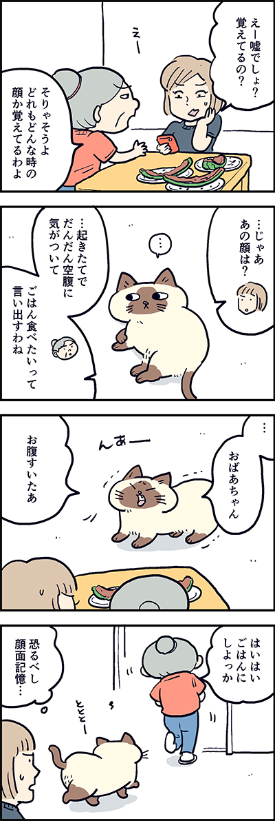 おばあちゃんは、おふくちゃんのこと、なんでもしってるね～?  

第78話「おふくちゃんアルバム」

『猫のおふくちゃん』の最新話は毎週金曜日に連載中♪
⇒(https://t.co/INnaJ8KmOH)

#猫のおふくちゃん 