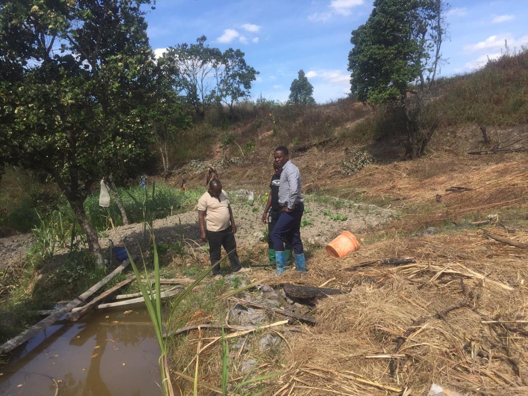 Simusolar tweet media