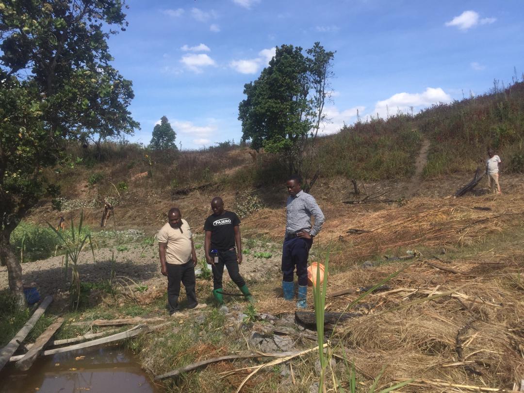 Simusolar tweet media