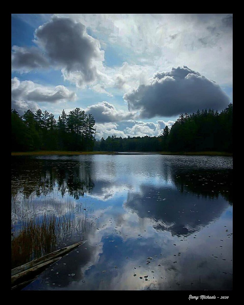remymichaels's tweet photo. "NORTHERN DREAMS" https://t.co/0ouq05A4Ui #CanadianGeographic #NationalGeographic #AlgonquinPark #Wilderness #Sunrise #JakeLake #Wildlife #Summer #OntarioParks #PicOfTheDay #Travel #Nature #Muskoka #Huntsville #Gravenhurst #Photography #Art #Earth πβοΈππβοΈππ²π²ππΈπΎπΎβ₯οΈππ¨π¦ https://t.co/c2A0LBR4Jb