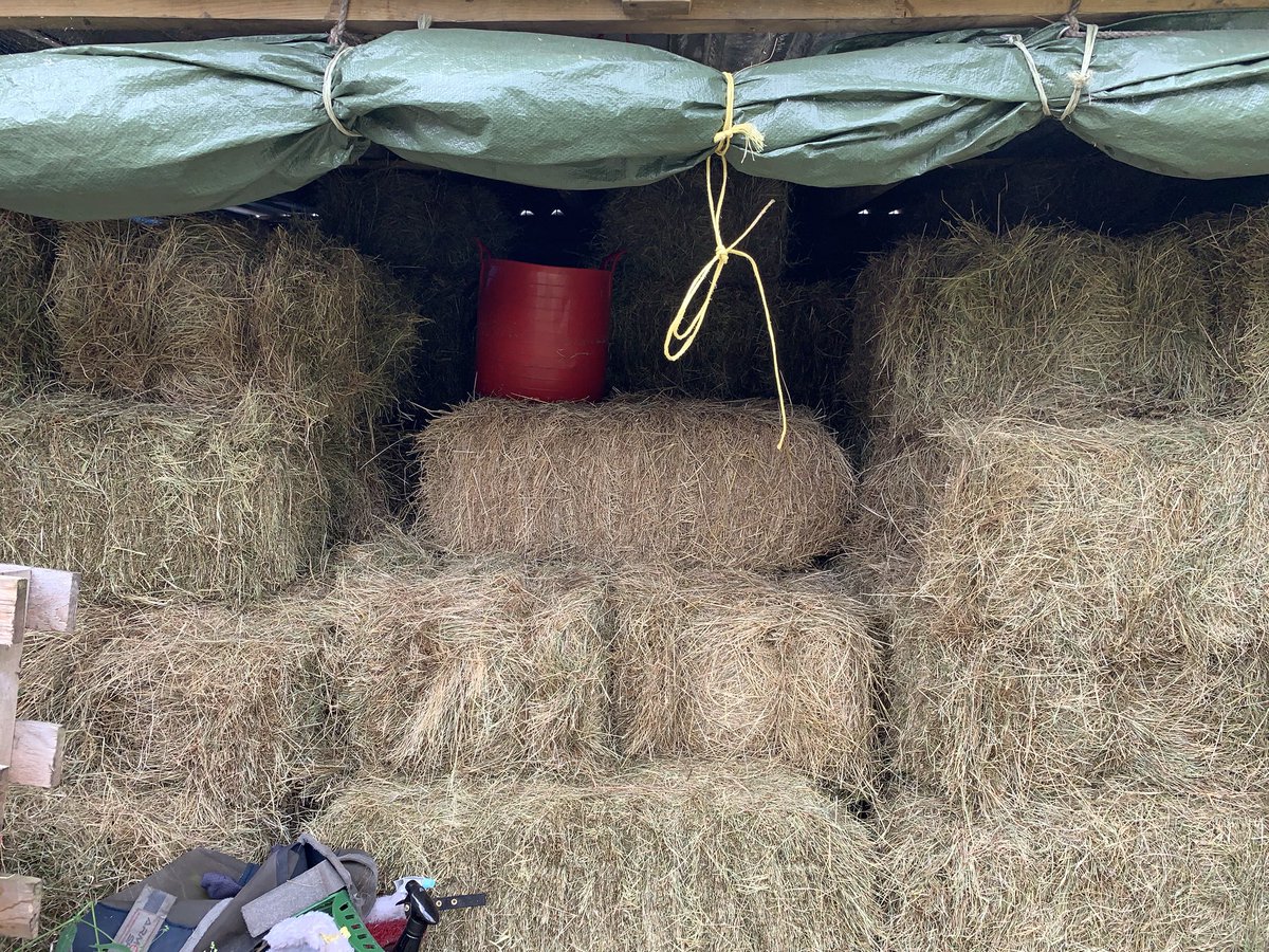 precisioncoding's tweet image. How I spent my 11th twitterversary ... stacking hay! 🤣🎉🎂🥂