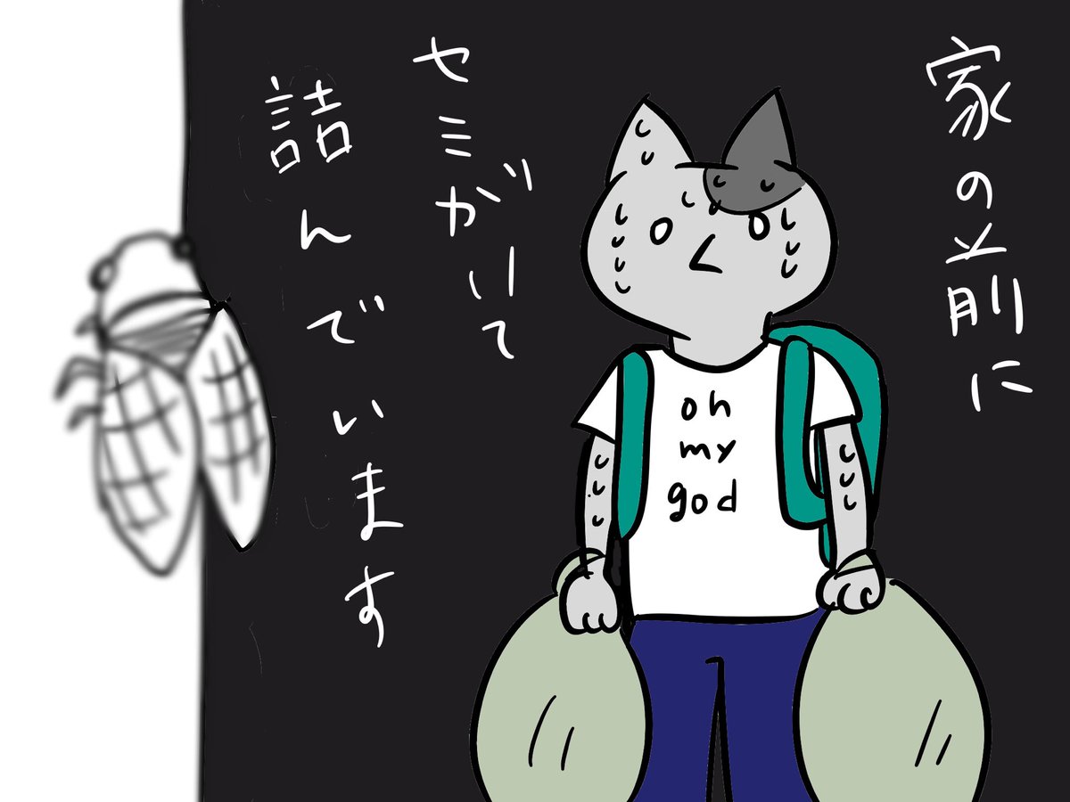 chicchi_main's tweet photo. #MediBang #主婦猫 https://t.co/dgUJkgxOjr