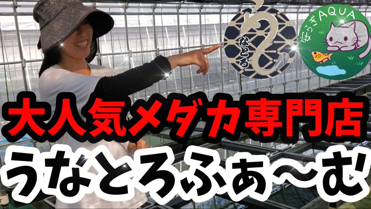 メダカ専門店 メダカ専門店