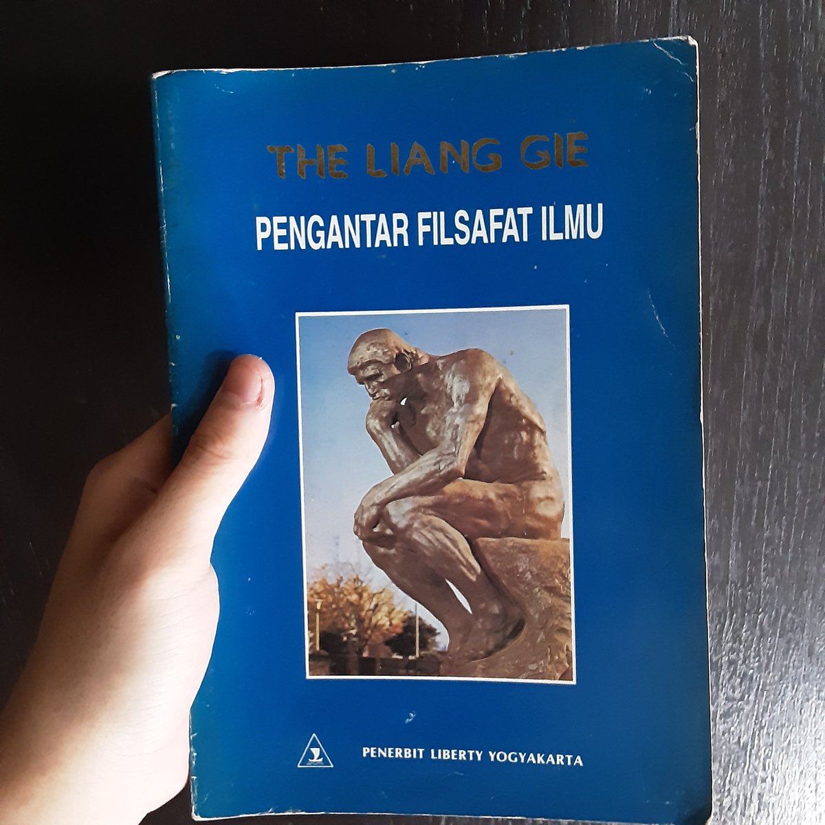 Saya sedang senang baca, cari tahu, tentang orang Tionghoa di Indonesia. Entah sejarahnya, tokohnya, atau apapun lah. Kebetulan, adik sy sedang menulis tentang sejarah UGM Press, dan, krn tahu sy sedang kulik begituan, ia cerita ada ahli filsafat orang Tionghoa: The Liang Gie.