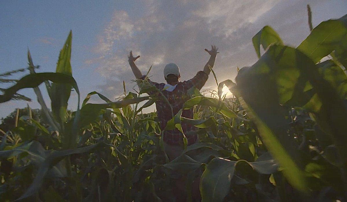 CatrionaGiles's tweet image. New #MovementDirection work for the fabulous @farmdrop bringing the rave to the countryside 👌 #farmdrop #movementdirector #sweetharmony