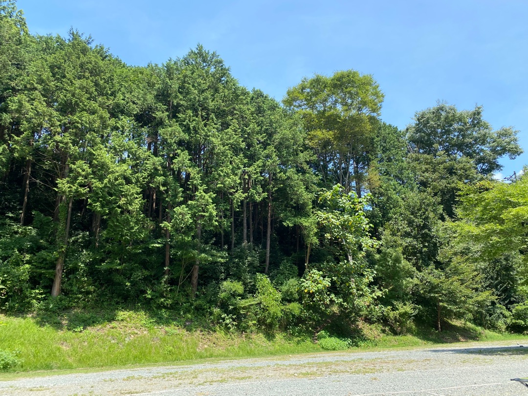 ONE 鈴木ゆき 鈴木ゆき (@suzuki0209yuki) / X