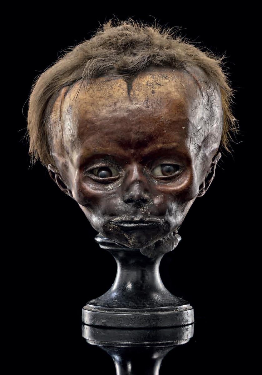 [5/5] More info in my book "The Petrifier" about the incredible life & work of Paolo Gorini, published by  @LogosEdizioni ni with beautiful photographs by  @VanniniCarlo. (All my books have both English & Italian text). https://www.libri.it/pietrificatore?tracking=53da49b67eead&id=14