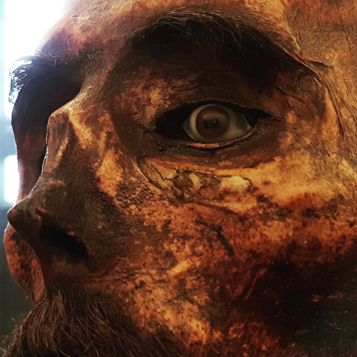 [THREAD 1/5] A detail I took of one of Gorini's petrified heads. Many people ask me why petrifiers never revealed their obscure formulas, often taking the secret to their grave: in reality not everyone of them kept such a strict secrecy, but those who did had a good reason.