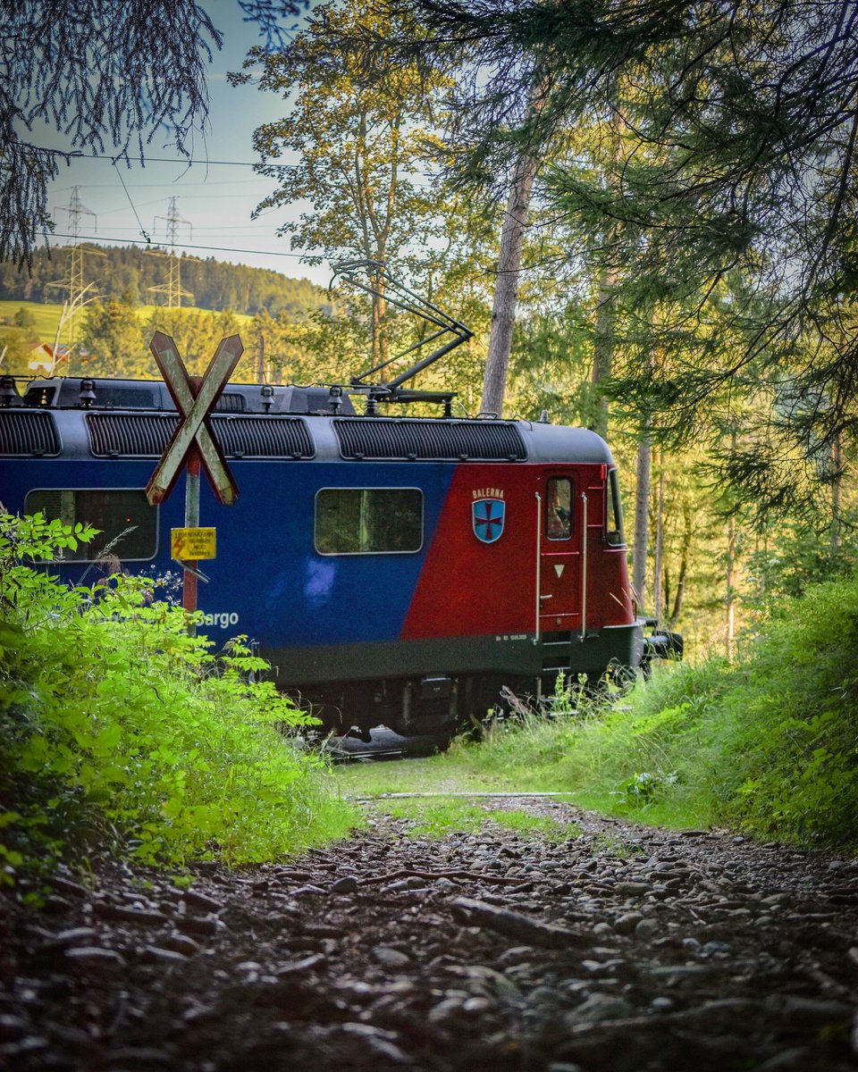 So, verlassene Ecken des helvetischen Schienennetzes...
(Und dreckige Linsen...) https://t.co/Sguwe9WlFO