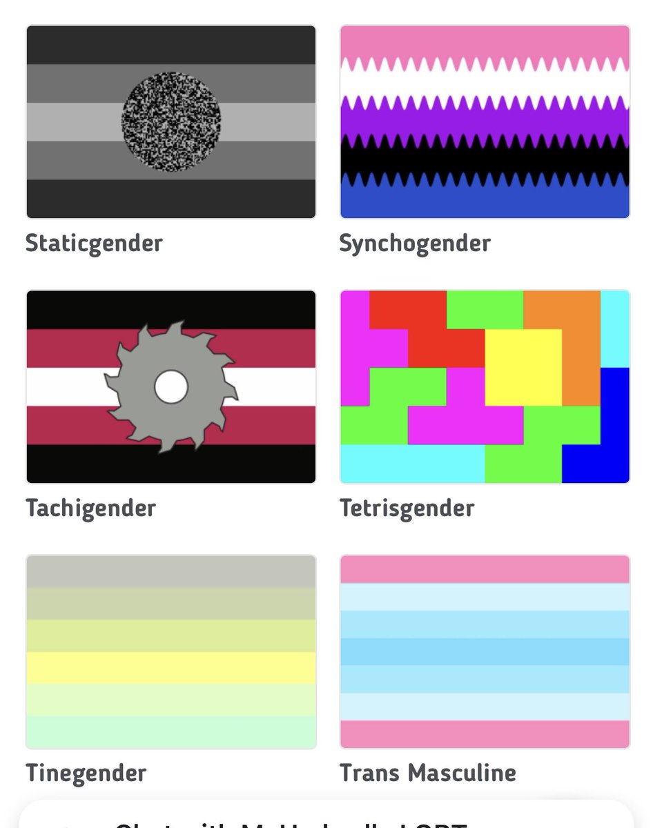  @ThamesVP are partnered with the lunatic idea that there are 371 genders (and counting). Each has its on pretty flag. We cannot muster the strength to criminally deny them all but here is a small selection.