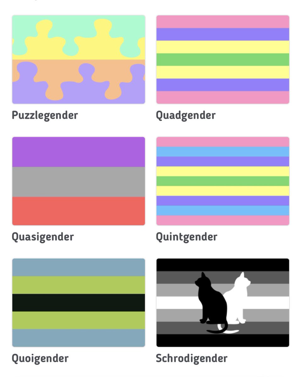  @ThamesVP are partnered with the lunatic idea that there are 371 genders (and counting). Each has its on pretty flag. We cannot muster the strength to criminally deny them all but here is a small selection.