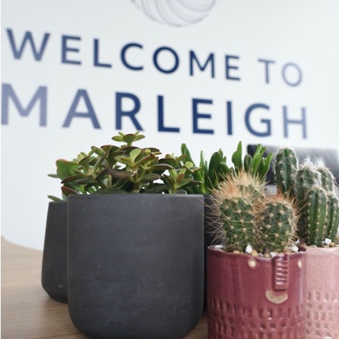 On Sunday, our #Marleigh development in #Cambridge is hosting a pop-up garden & plant sale. There'll also be free ice cream from @jacks_gelato. Find out more about #MarleighCB5, a new community offering state-of-the-art homes, here: bit.ly/HillMarl #HillUK #HillGroup