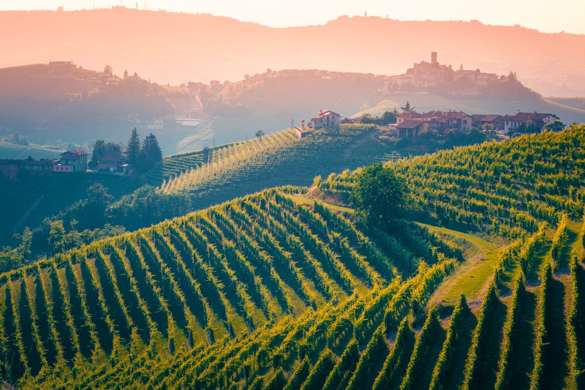 Un'idea per quest'autunno? 🍂 Degustare i vini delle colline piemontesi e seguire un'eccellenza regionale dalla terra al piatto: il tartufo.
👉evaneos.it/italia/itinera… 
Lasciati guidare dagli esperti locali! 🍷