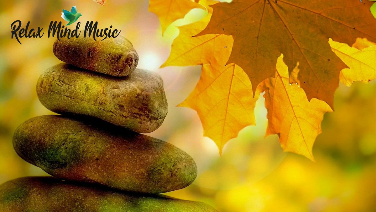 KevinDgmark's tweet photo. Beautiful Relaxing Music 24/7 Study Music, Sleep Music, Meditation Music And Sleeping Music https://t.co/8GU6XRhxoa #relaxingtime #relaxingvideos #relaxingmusic #relaxingsounds #relaxing_time #relaxingvideo #relaxingmoments  #relaxingpiano #relaxingspa #relaxingnight https://t.co/fpjBPkGAR6