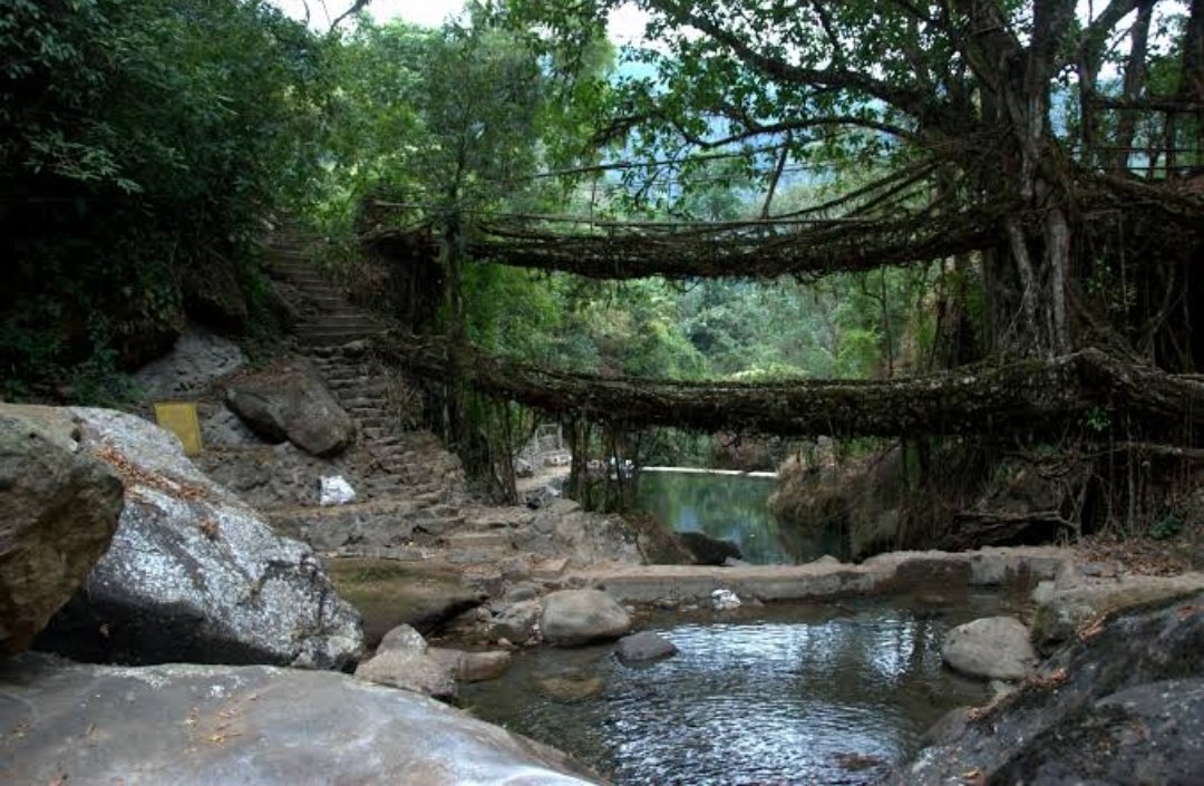 Picturesque location of meandering water bodies, astonishing waterfalls, lush green forest and Blue Mountains ranges along with pleasant weather offers a beautiful view of in the country. @BangadVedant  @mahan_saria  @manusmriti3010  @ssharadmohhan  @monumonu123456  @majorgauravarya