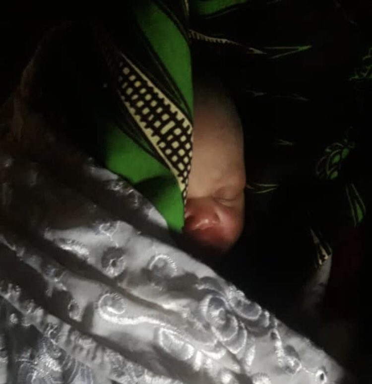 Asociación Tabaiba tweet media