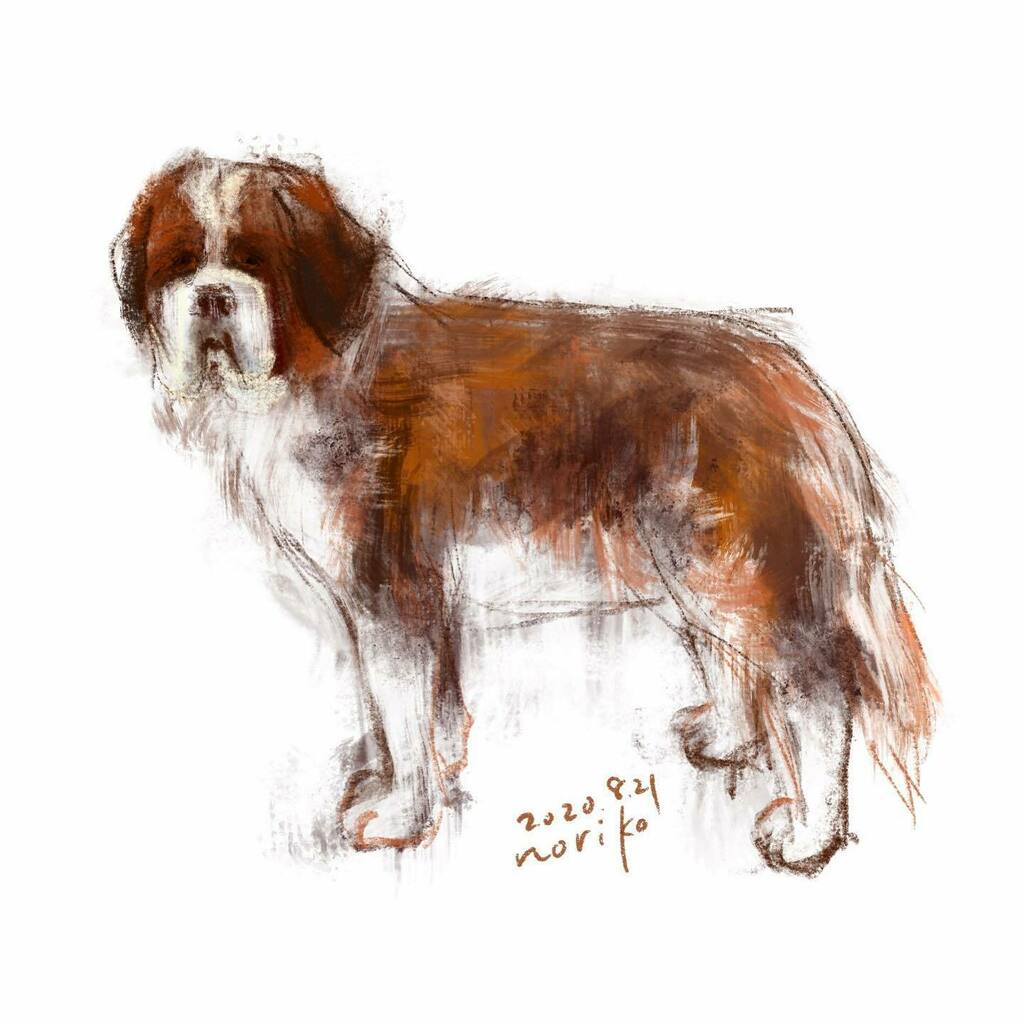 のりこ St Benard セントバーナード Stbernard Dog 犬 Akane Art イラスト Illustration 01 Drawing Art Painting Procreate 一日一絵 Onesktchaday Onedrawingaday 365drawings T Co c7xbpjbw T Co Lajyncwv3b のりこ St Benard セントバーナード Stbernard Dog 犬 Akane Art イラスト Illustration 01 Drawing Art Painting Procreate 一日一絵 Onesktchaday Onedrawingaday 365drawings T Co c7xbpjbw T Co Lajyncwv3b