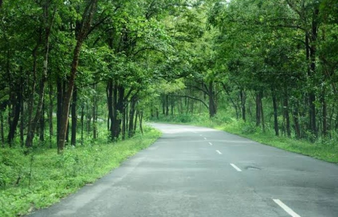 51 types of forest found in this region classified into six major types- tropical moist deciduous forests, tropical semi evergreen forests, tropical wet evergreen forests, subtropical forests, temperate forests and alpine forests.  @ParveenKaswan  @old_monk10  @super_sanatani