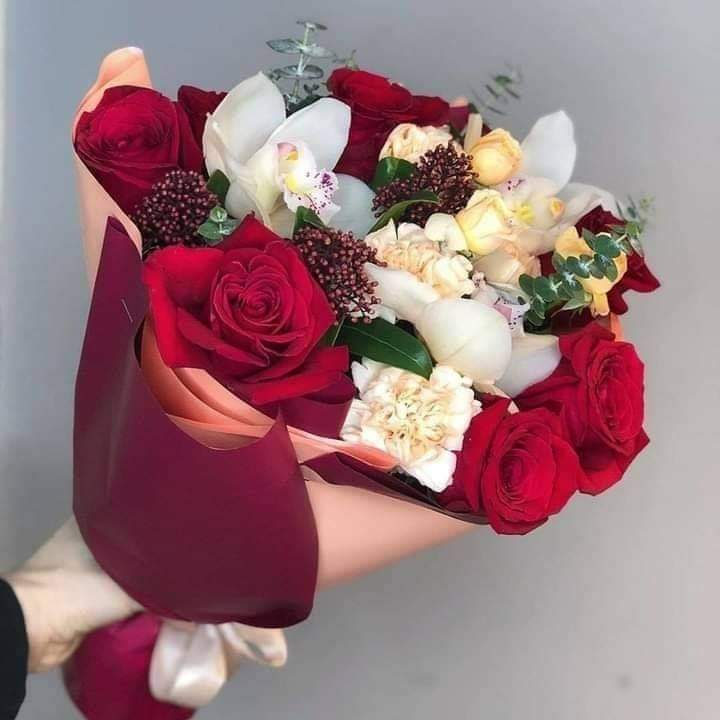 <a href="/OmariDjamel3/">Omar Djamel⁦🇩🇿⁩</a> جميلة 😍 شكرا