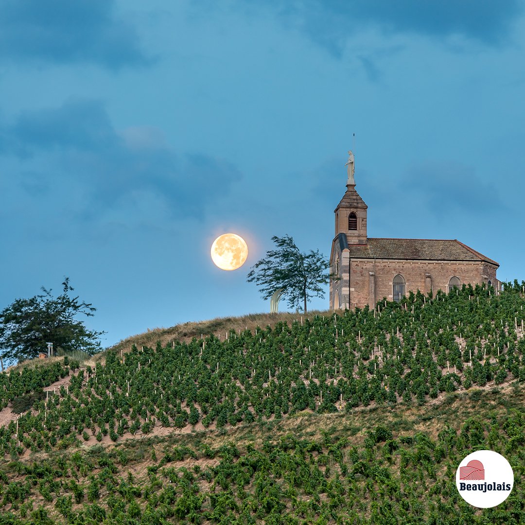 Pleine lune sur la Madone de Fleurie 🌕🍇
#beaujolais #vinsdubeaujolais
📸Etienne Ramousse