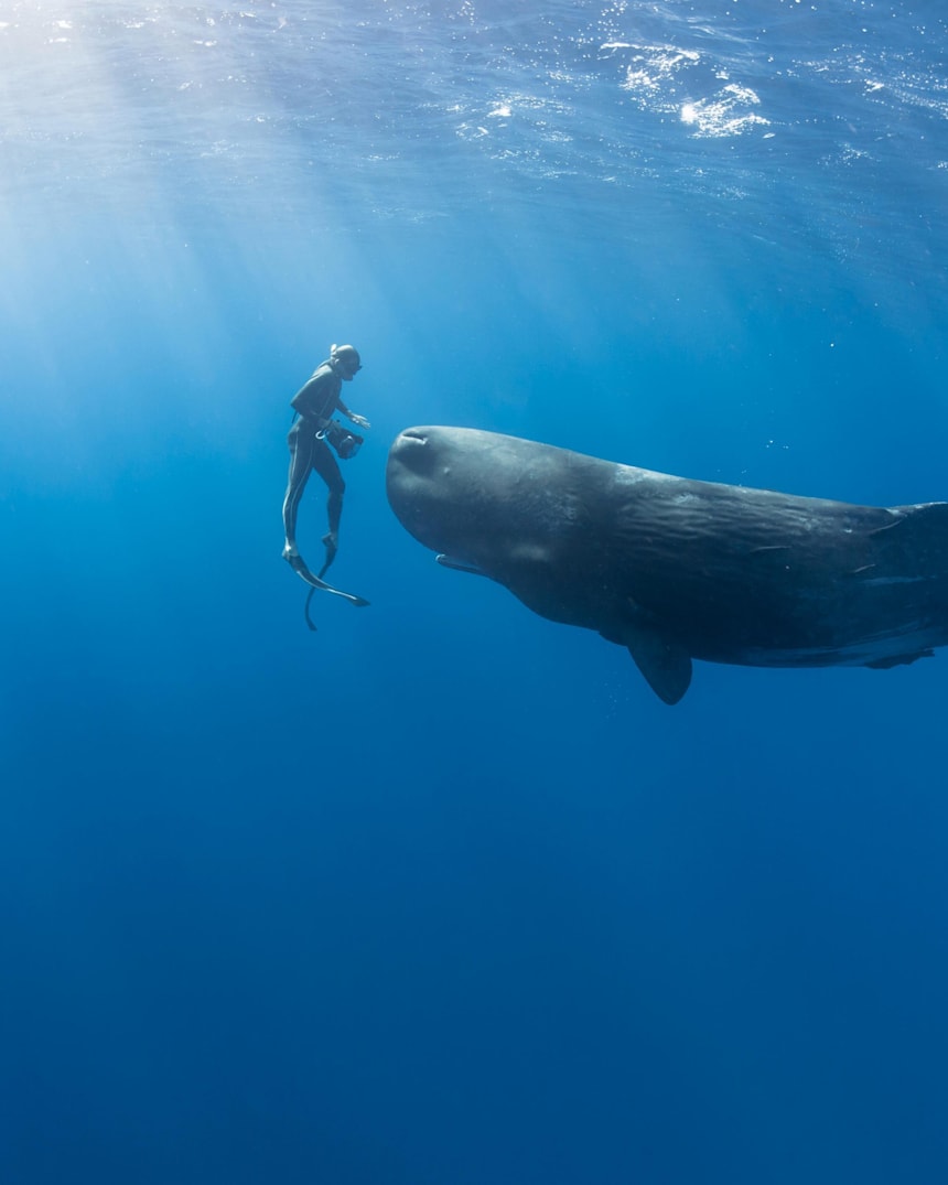 様式美🐰投資メタラー tweet media