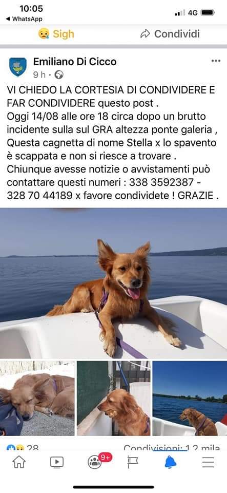 URGENTISSIMO, FATE GIRARE