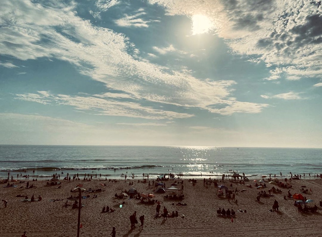 waterbar_sd's tweet photo. View courtesy of San Diego Summers &amp; the Waterbar Sundeck☀️ 🌴
.
Weekend Hours:
Friday | 11am-10pm
Saturday &amp; Sunday | 9am-10pm
.
#DevotedToTheCraft #WaterbarSD https://t.co/adp2uvzUMR
