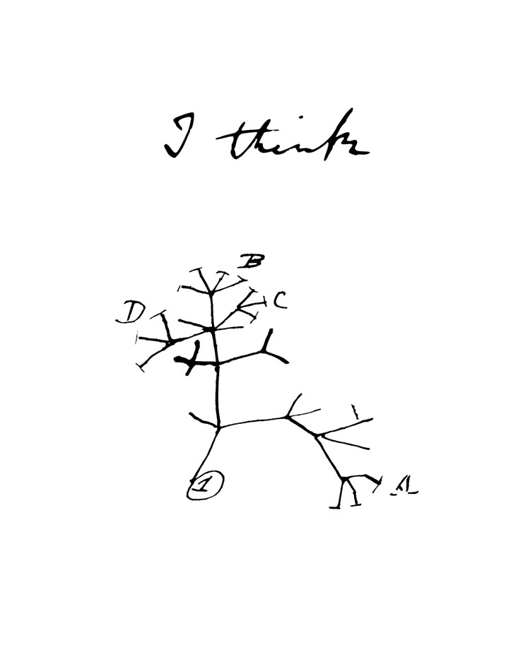 This little scribble in Darwin's notebook reflects the "clonal expansion and selection" of tumor cells that make cancer such a difficult disease to combat.If you apply artificial pressure with one type of therapy, it inevitably selects for resistance to that therapy.