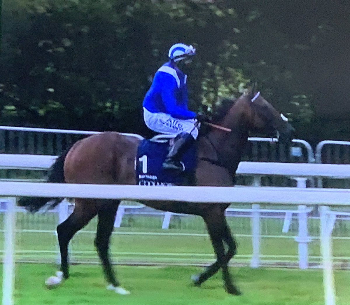 LNevilleRolfe's tweet photo. #Battash just wins @yorkracecourse  yet again. What a star. Fourth win for Jim Crowley &amp; Sheikh Hamdan @itvracing https://t.co/Oc2geKAnfY