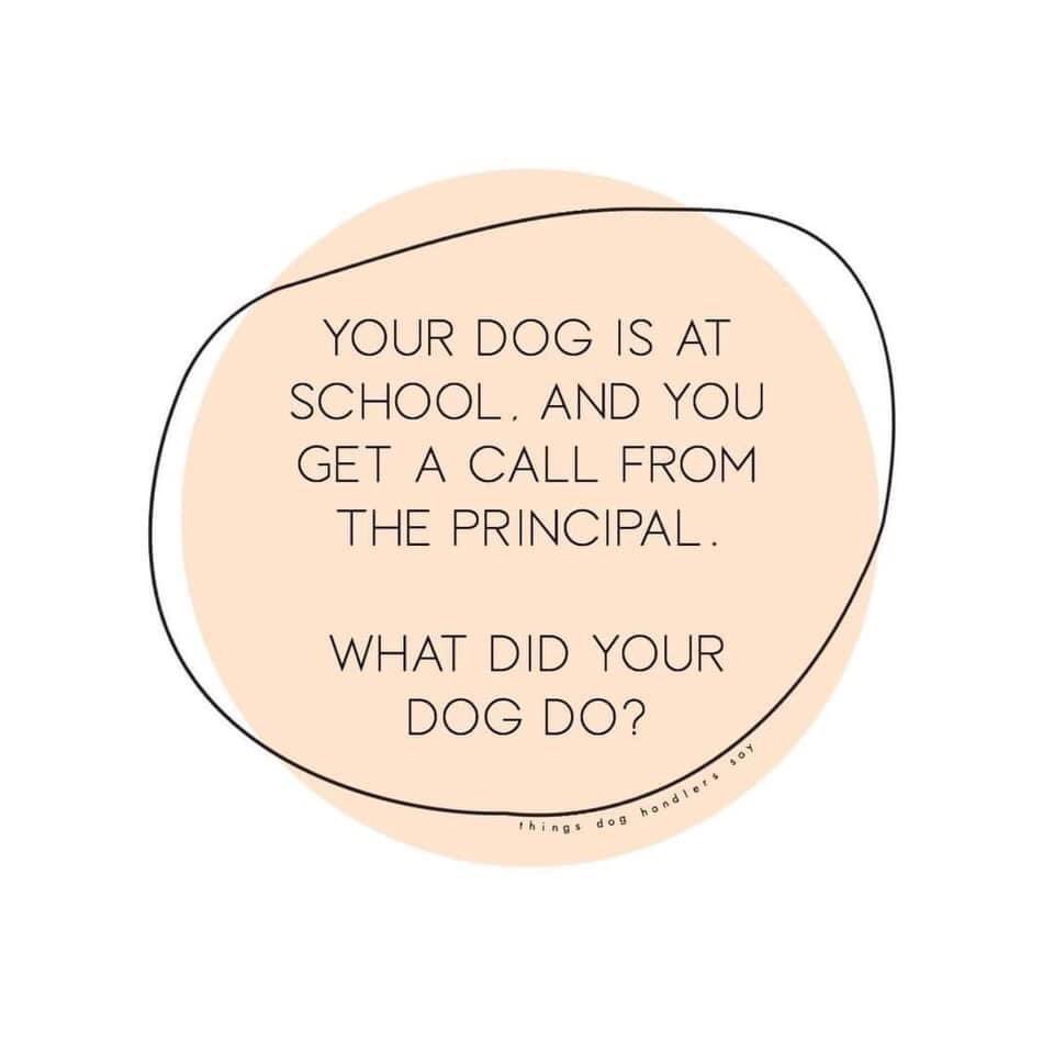 PuppyUpHouston's tweet photo. We made it to Friday!!

Here is your Friday funny. We can't wait to hear these!!!! 😄😄😄

#puppyup #companionsagainstcancer #cancerfightingsuperhero #caninecancerawareness #FridayFunny https://t.co/Tzz6EHK504