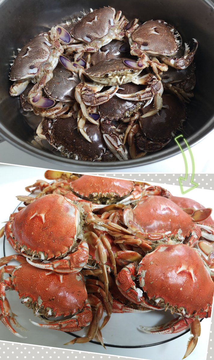 temtem_san's tweet photo. 親戚から頂きものー♫
ホヤ酢と平蟹♀🦀🦀🦀
身が詰まっててプリップリ✨
内子とミソがたまんない💗
平蟹ってこんなに美味しかったっけ?!ってことで、子供たち争奪戦😅
ホヤ酢さいこー🍺✨✨
たっぷりお出汁で何作ろっかな🥰
#平ガニ #ほや #海のパイナップル https://t.co/6F4jCE6OOz