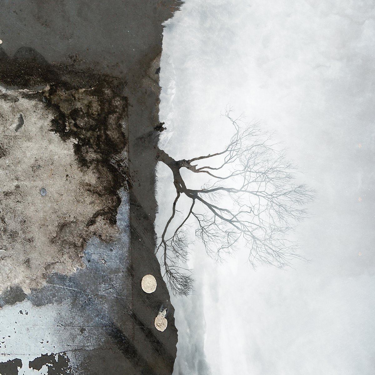 Lost Tribe Sound News: Microwolf (Out Now), New Vieo Abiungo, Claire Deak &amp; Tony Dupé debut, and more - mailchi.mp/abe7fed6f30e/m…