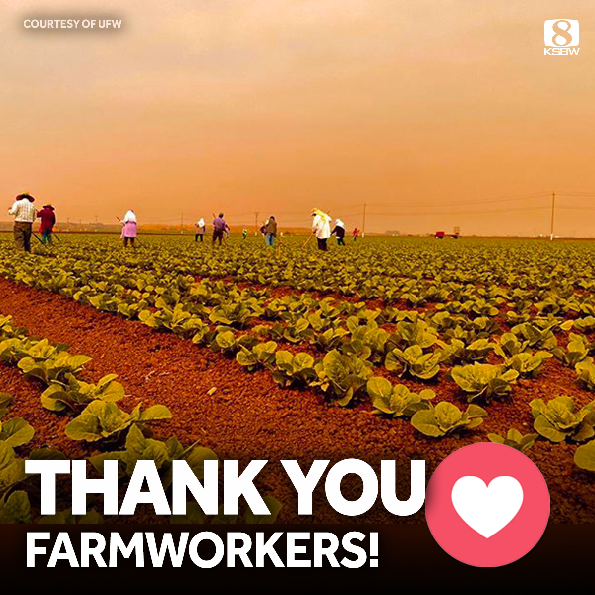 ksbw's tweet photo. We want to take this moment to thank the farmworkers who are braving air quality issues due to the multiple wildfires in California. Thank you for all that you do! https://t.co/ijWNvUPbyY https://t.co/VJGPmeBlfD