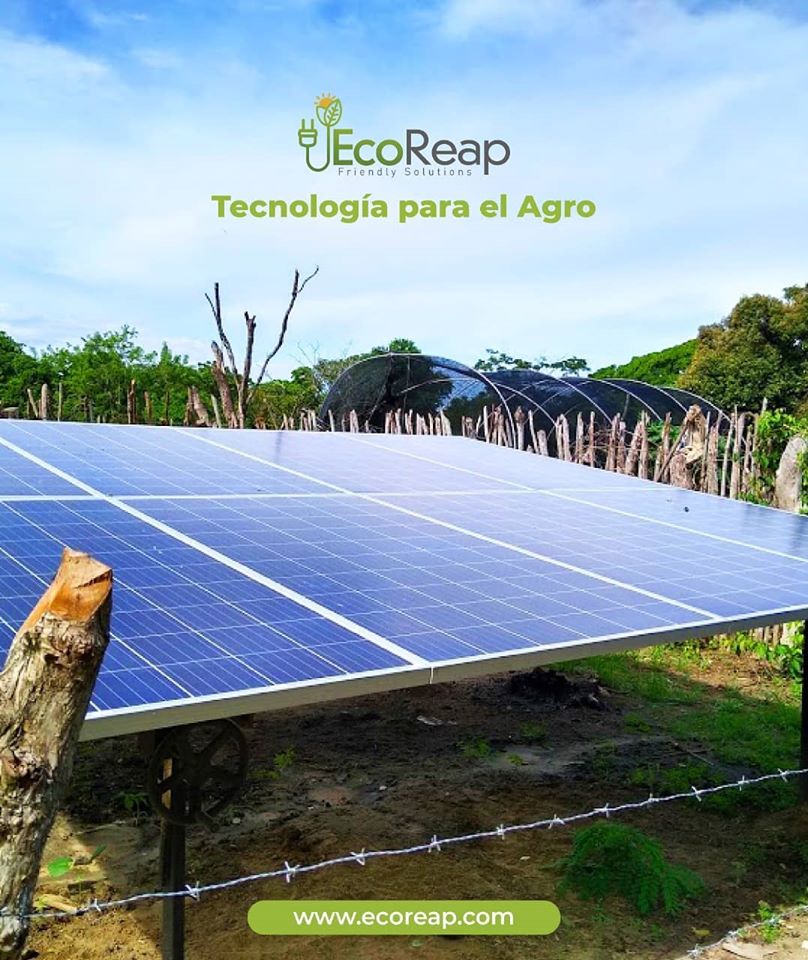 Eco Reap SAS tweet media