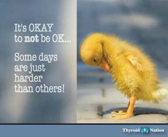 tmelissen1219's tweet photo. #ItsOkayNotTobeOkay
#CallBeforeYouFall https://t.co/3mKvU7xmsa
