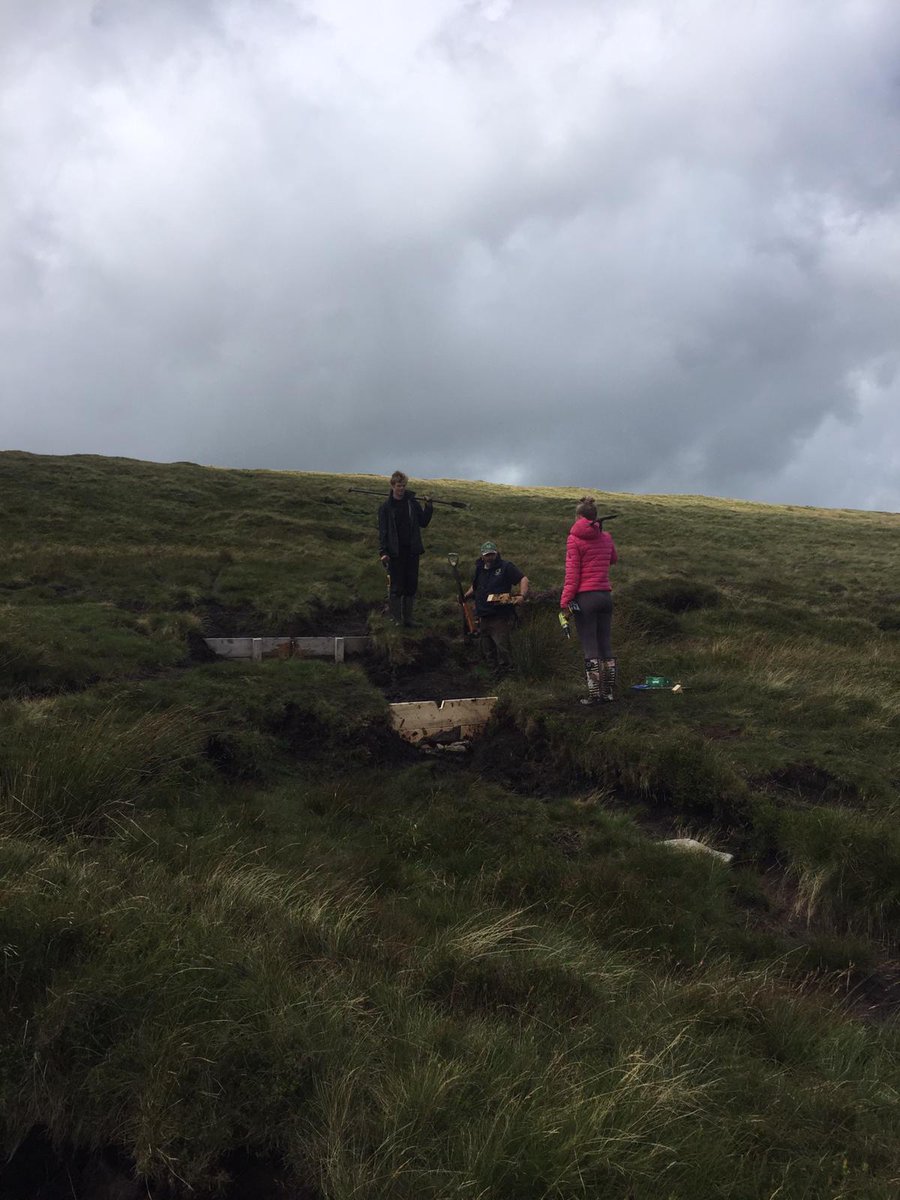 BlackMountainsLUP tweet media