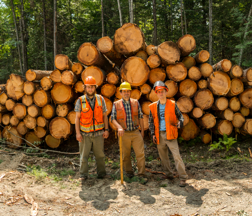 JSustForestry's tweet photo. As evidenced by the #wildfires across the American West, it's important to understand foresters' perspectives on #climatechange.

Check out this recently published article by Soucy et al on perceptions of climate change in the forest industry of Maine!

@UMaine | #forests https://t.co/m6Sv2Sk2SQ
