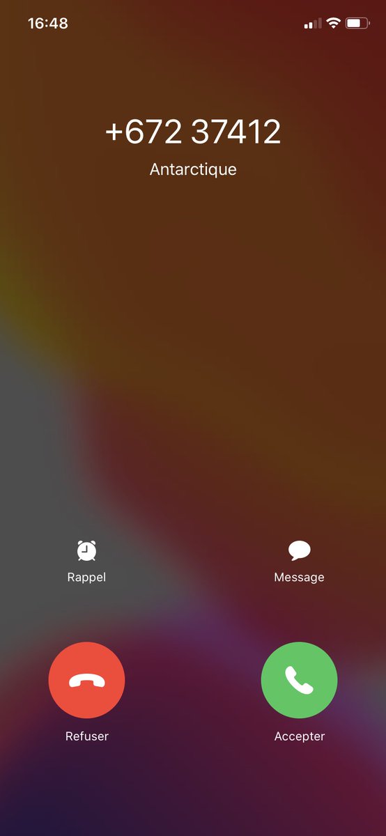 Warpolo's tweet image. Y’a un pingouin qui vient de m’appeler les gars