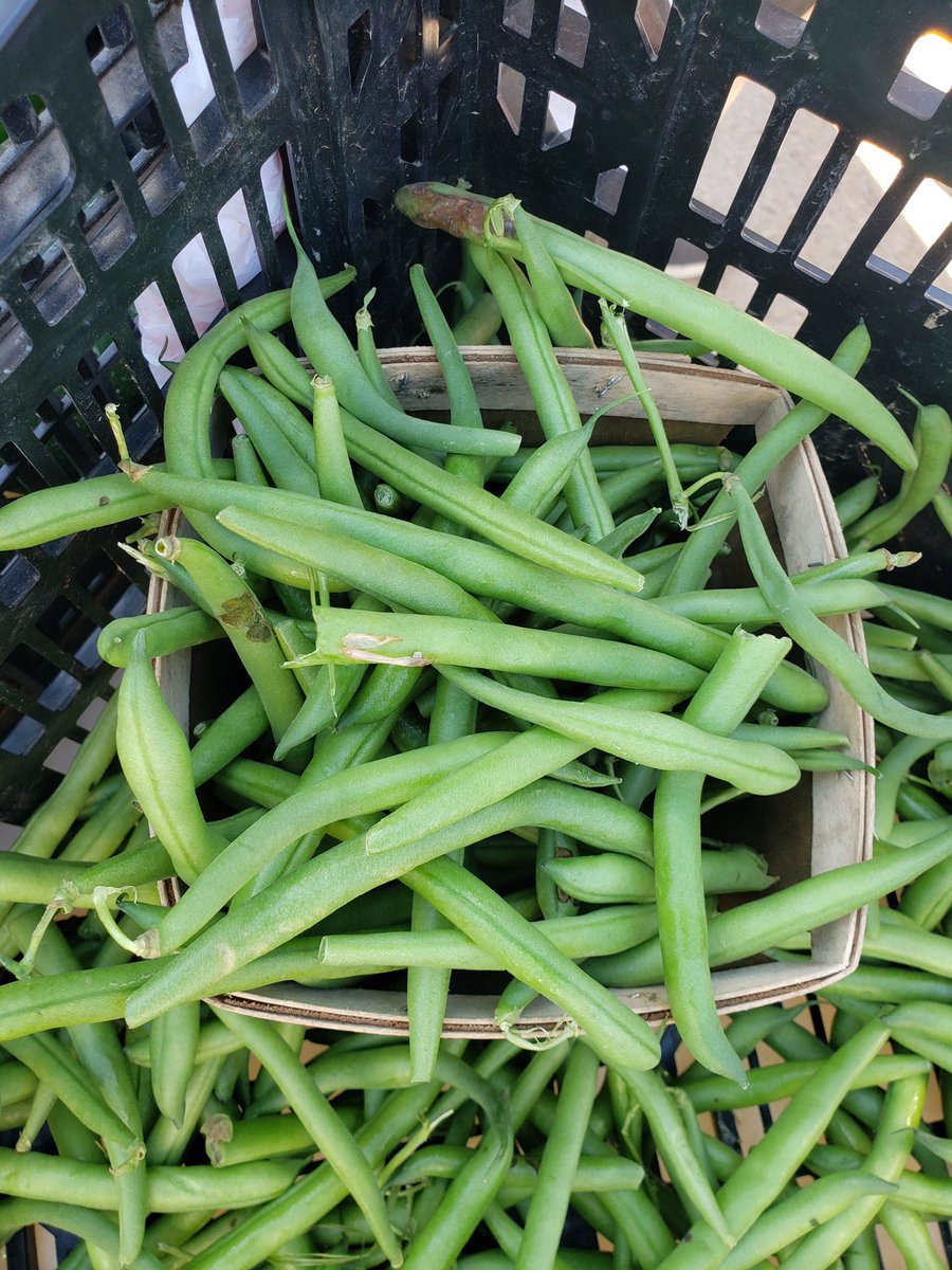 Whispering Roots (@whisperingroots) on Twitter photo Remember today, our Pop-up Farm Stands continue! Check out the fresh, locally grown vegetables from the community gardens! @TheBigGarden @Douglas/Sarpy County WIC Program <a href="/CHIhealth/">CHI Health</a> Health Remember today, our Pop-up Farm Stands continue! Check out the fresh, locally grown vegetables from the community gardens! @TheBigGarden @Douglas/Sarpy County WIC Program <a href="/CHIhealth/">CHI Health</a> Health