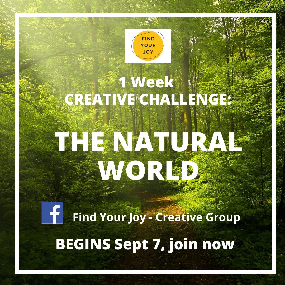 Pe27ach's tweet photo. T minus 2 weeks to the next creative challenge - the theme is The Natural World. Join up with the Facebook group now so that you can benefit from free coaching on the lead up, and challenge yourself to make something creative in one week! https://t.co/9ihk46Nor2  #findyourjoy⁠ https://t.co/1yHhX9rBRo